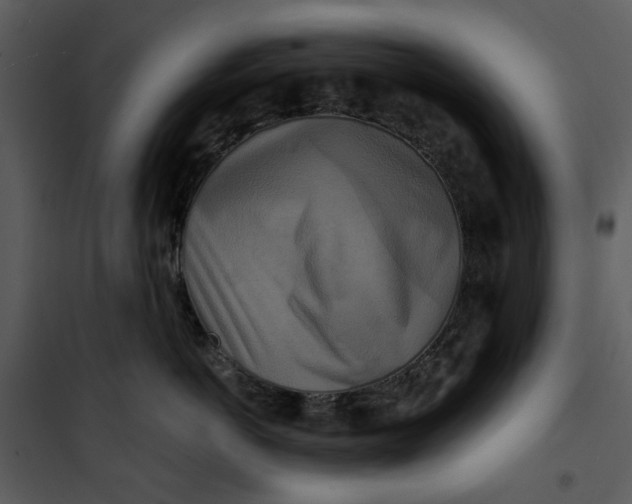 X0000101160766200807181359