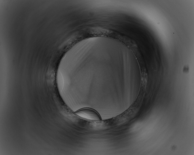 X0000101160767200807181359