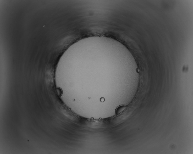 X0000101160768200807181359