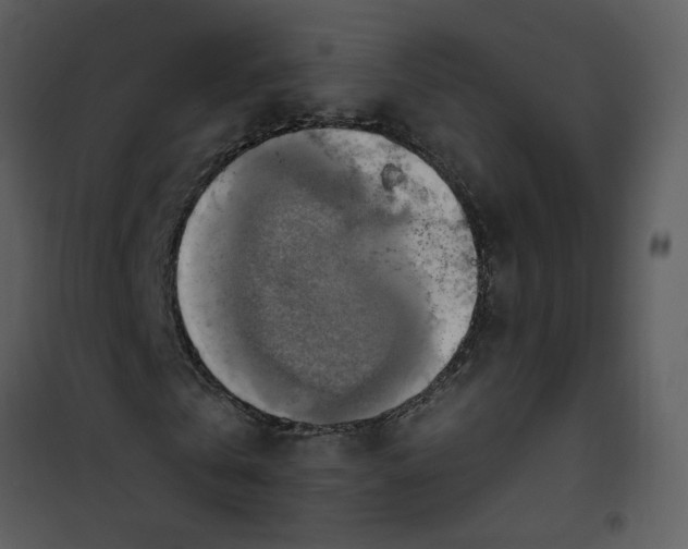 X0000101160769200807181358