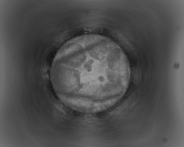 X0000101160770200807181358