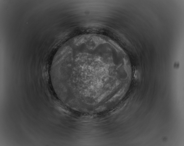 X0000101160771200807181358