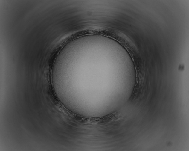 X0000101160773200807181358