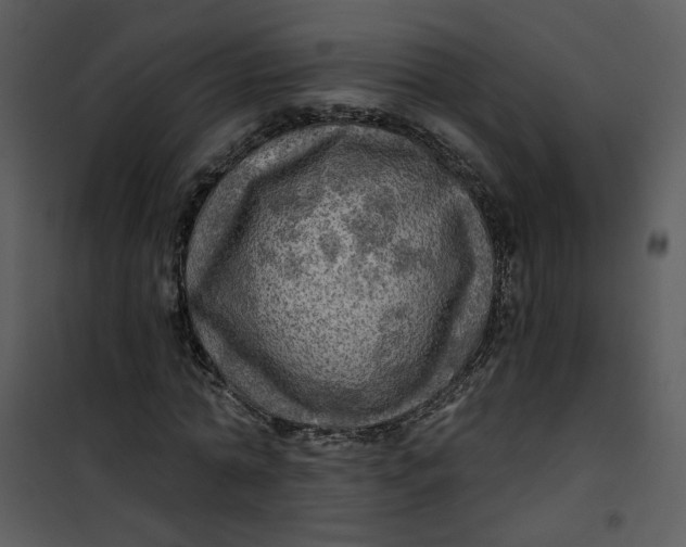 X0000101160774200807181358