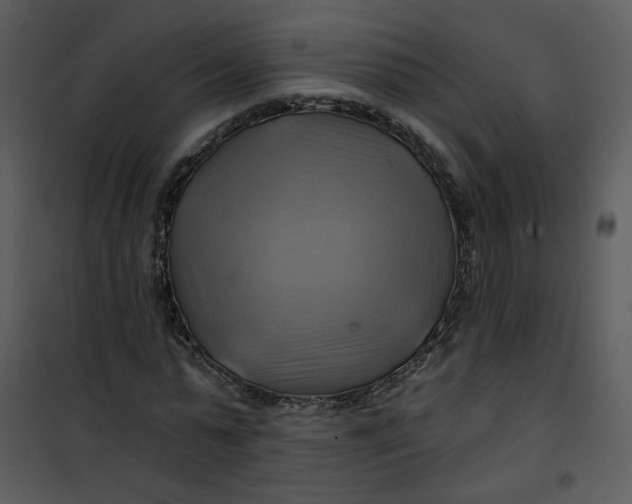 X0000101160775200807181358