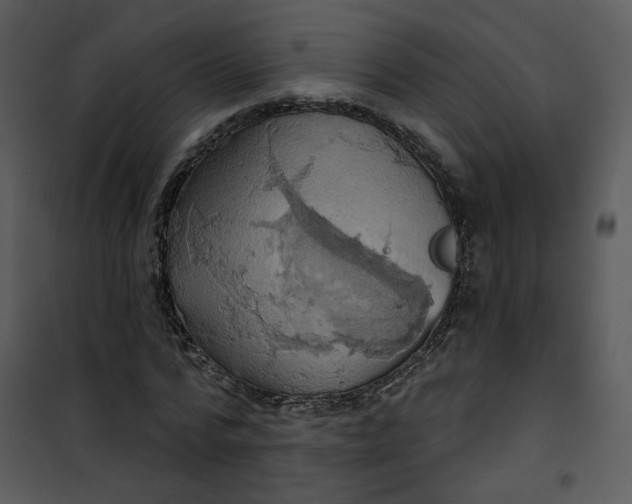 X0000101160776200807181358