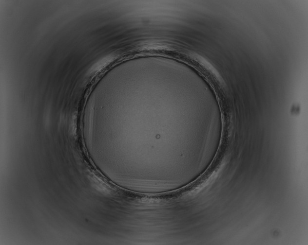 X0000101160777200807181358