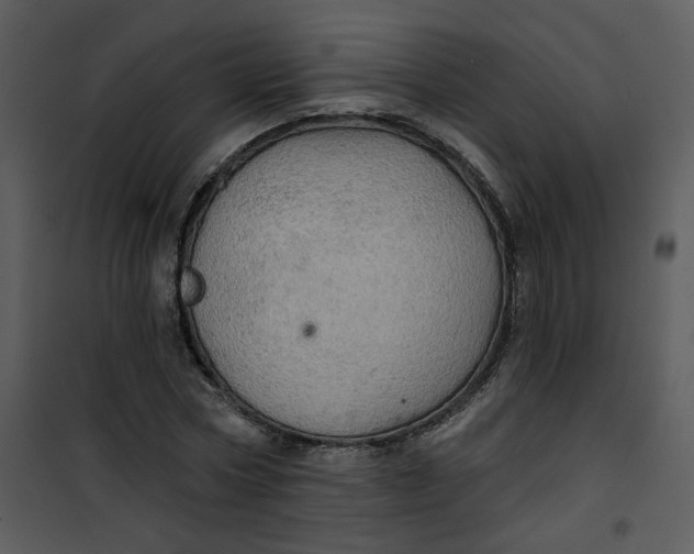 X0000101160778200807181357