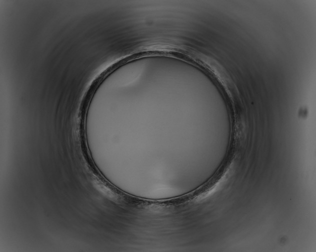 X0000101160779200807181357