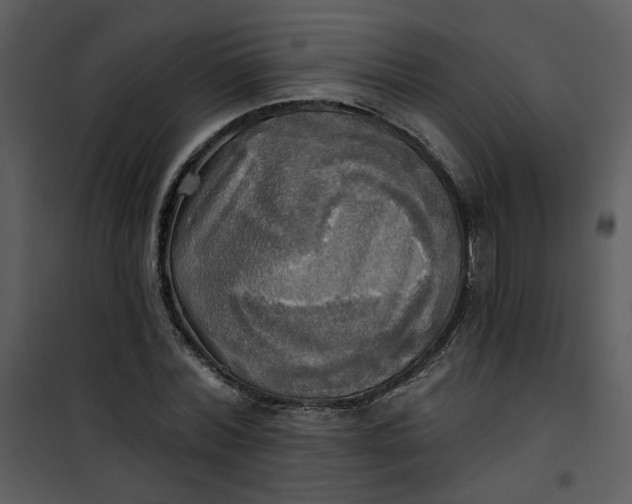 X0000101160780200807181357