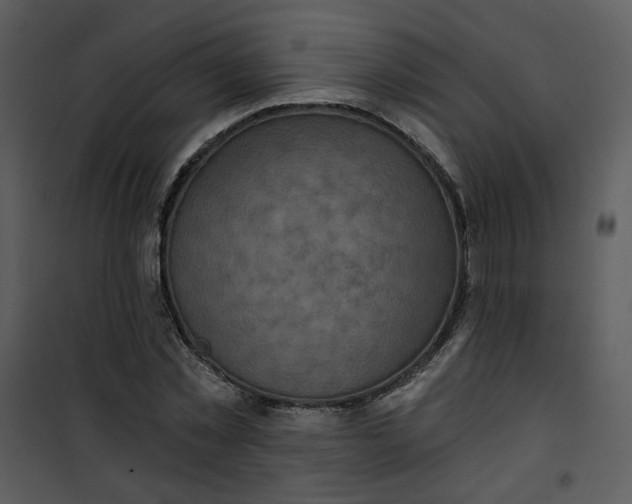 X0000101160781200807181357