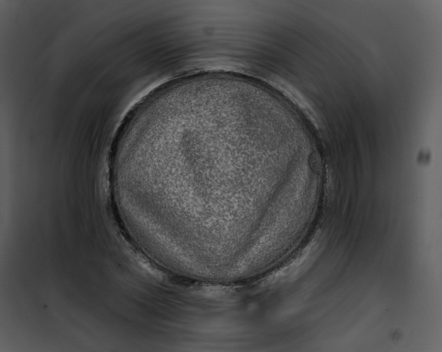 X0000101160782200807181357