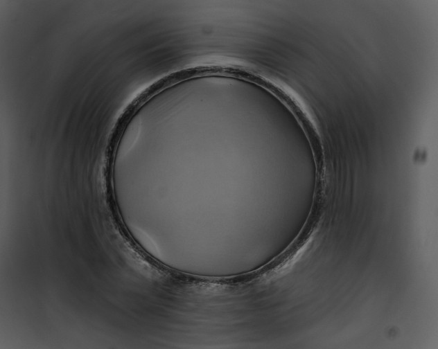 X0000101160783200807181357