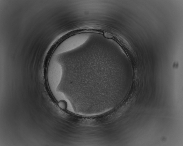 X0000101160784200807181357