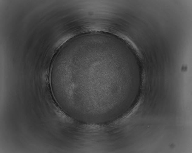 X0000101160785200807181357