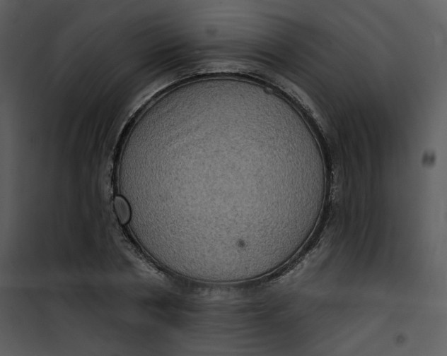 X0000101160786200807181357