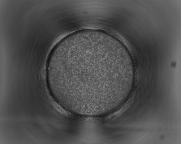 X0000101160787200807181357