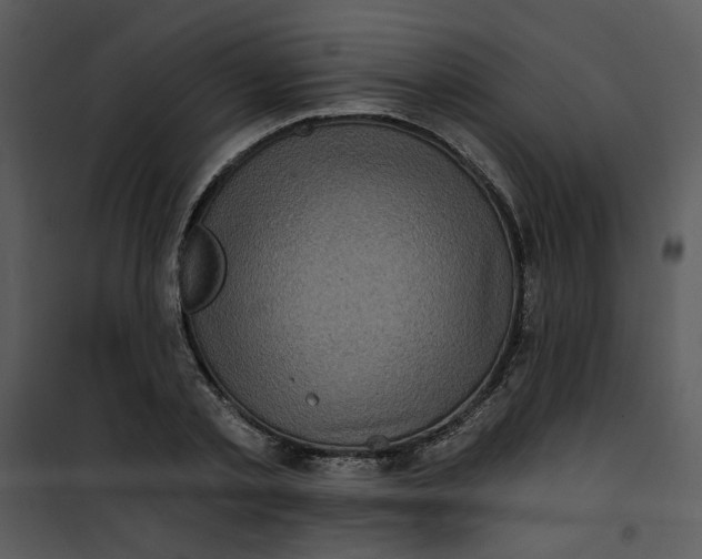 X0000101160789200807181357