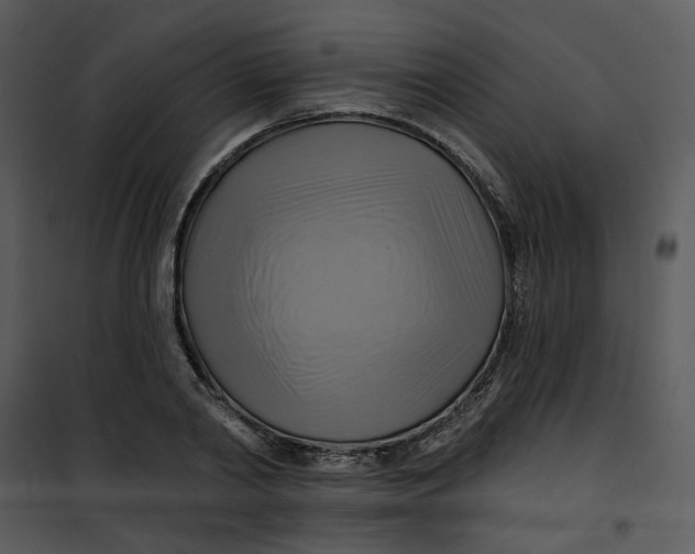 X0000101160790200807181357