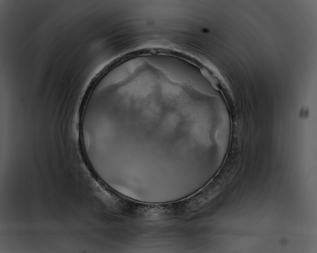 X0000101160791200807181357