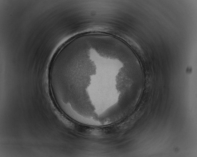 X0000101160792200807181357