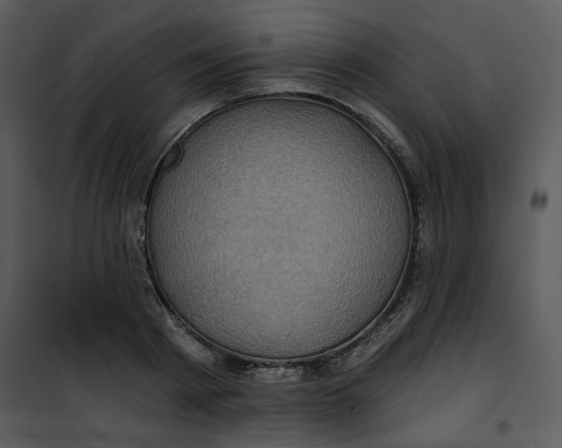 X0000101160793200807181357