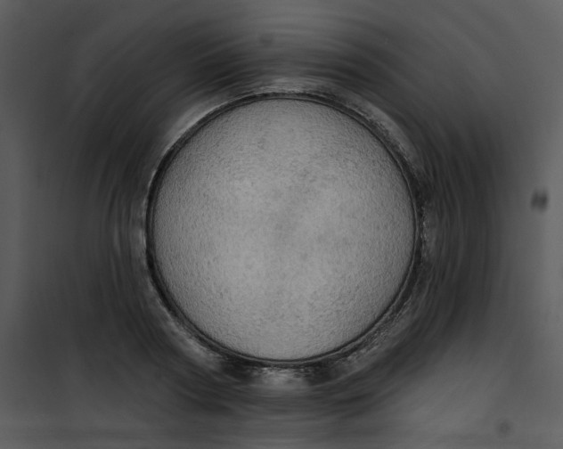 X0000101160794200807181357