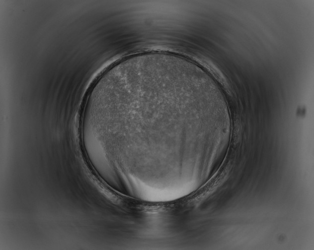 X0000101160798200807181357