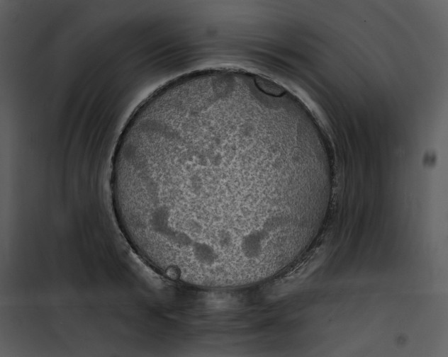 X0000101160799200807181357