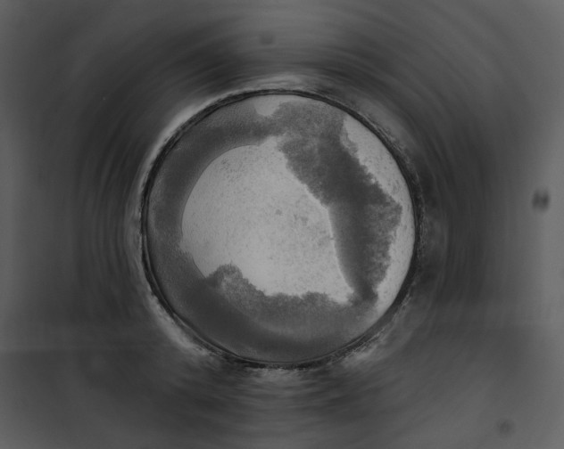 X0000101160800200807181357