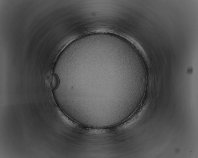 X0000101160801200807181357