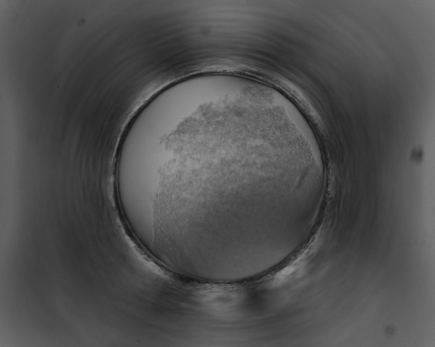 X0000101160802200807181357