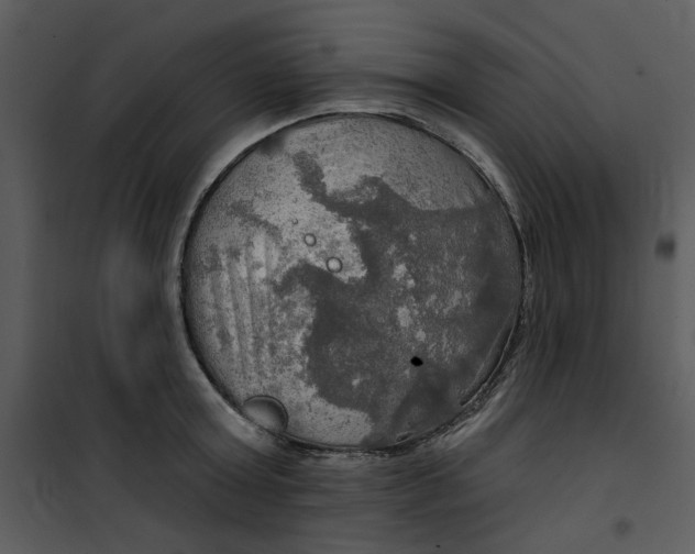 X0000101160803200807181357