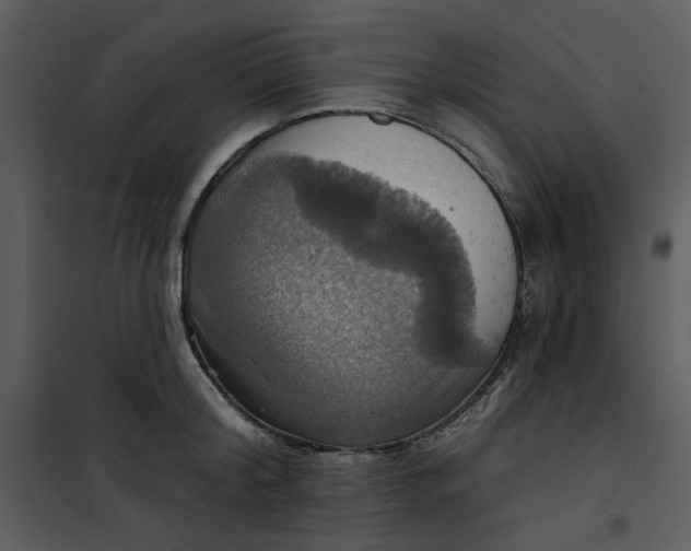 X0000101160804200807181357