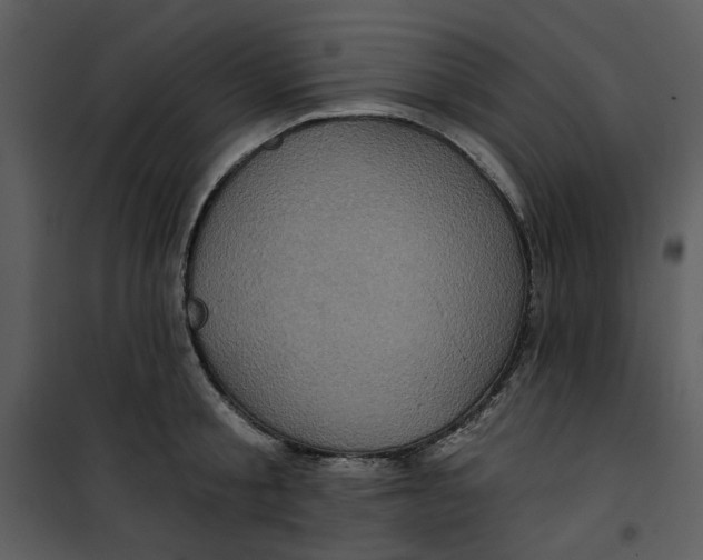 X0000101160805200807181357