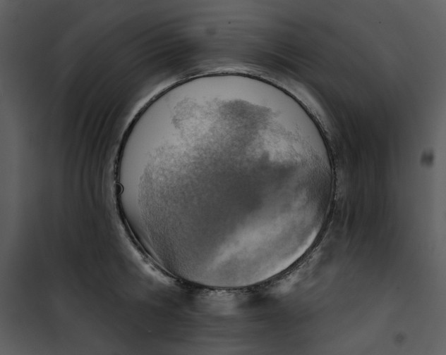 X0000101160806200807181357