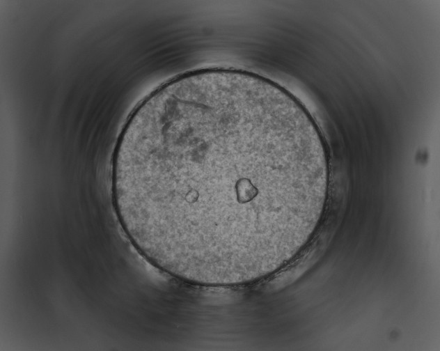 X0000101160807200807181357