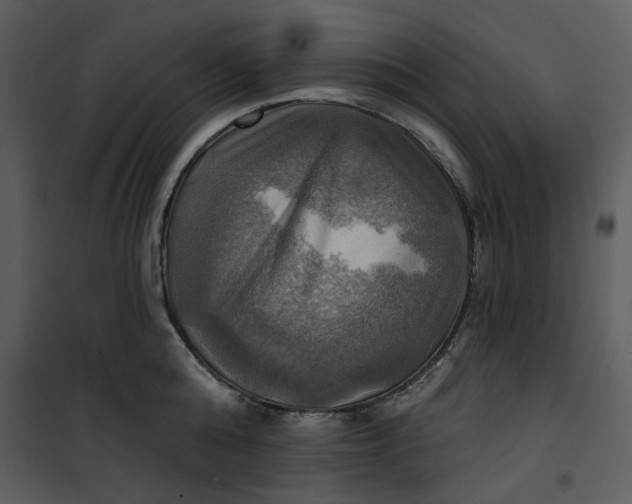 X0000101160808200807181357