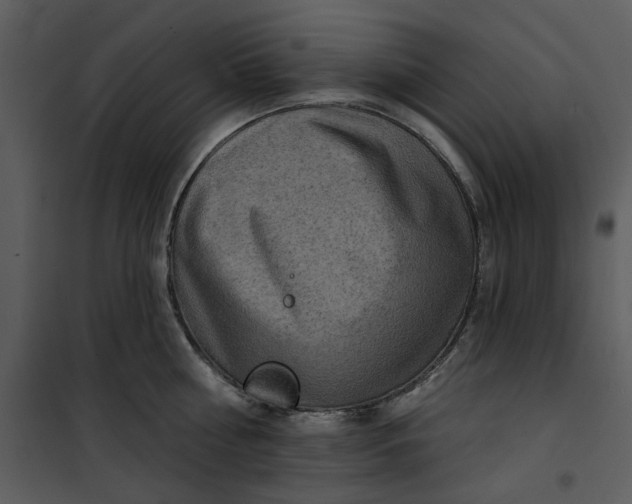 X0000101160810200807181357