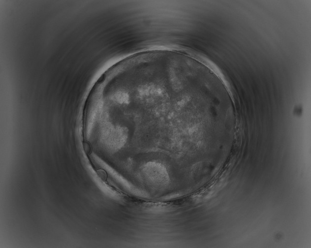 X0000101160811200807181357