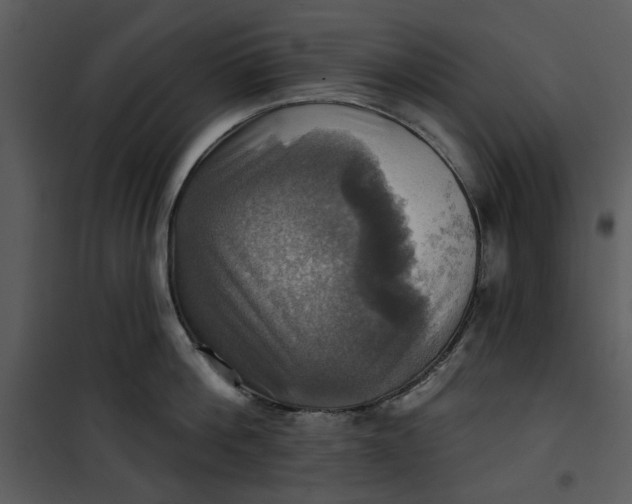 X0000101160812200807181357