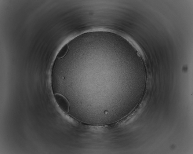 X0000101160813200807181357