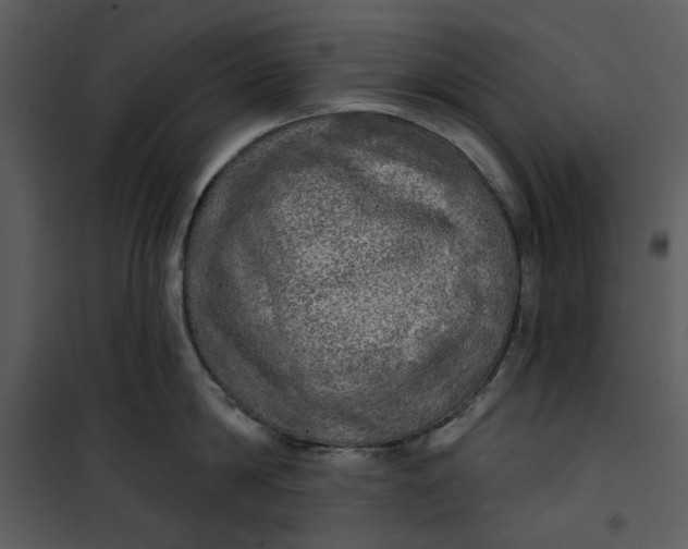 X0000101160814200807181357