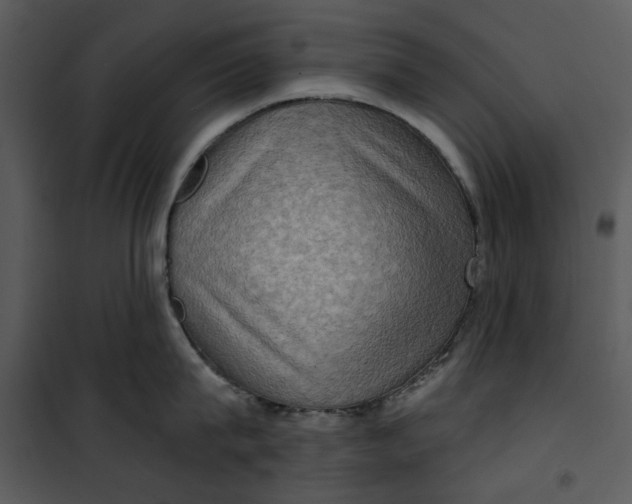 X0000101160815200807181357