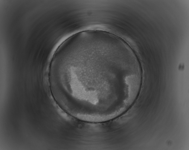 X0000101160816200807181357