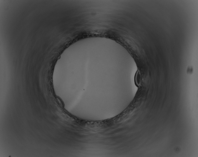 X0000101160817200807181356