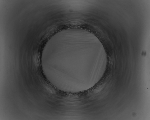 X0000101160818200807181356