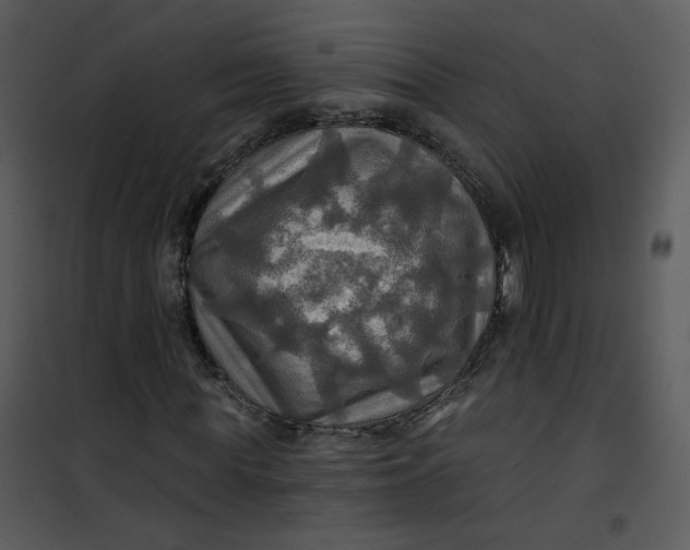 X0000101160819200807181356