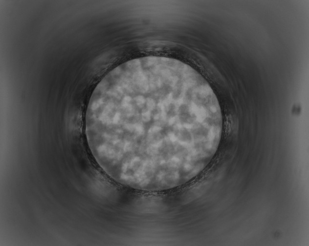 X0000101160820200807181356