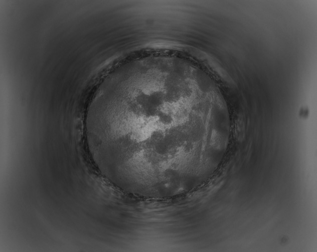 X0000101160821200807181356